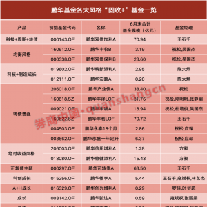 1.96万亿元资金追捧这一赛道！头部固收大厂直面客户需求觉醒 ...