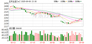 国内供需矛盾不大 玉米中期继续下行