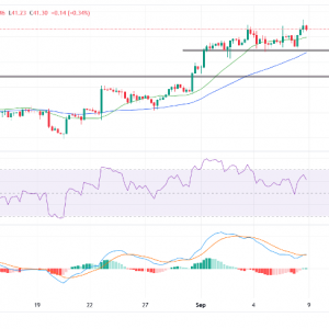 白银价格预测：白银震荡蓄势，41.00美元成多空生命线