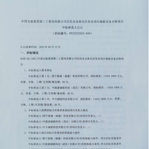 0.527~0.539元/Wh！山东110MW/220MWh储能设备中标公示