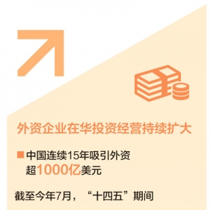 在中国市场做长跑者（经济聚焦·扩大双向投资）