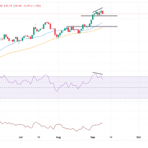白银价格预测：白银在41.50美元下方盘整，RSI顶背离