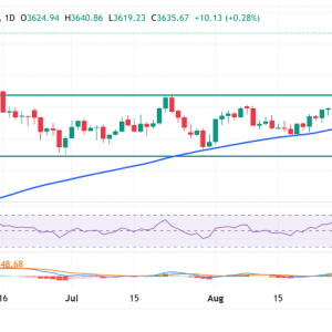 大宗商品：美联储降息，地缘政治紧张局势推动大宗商品价格上涨 ...