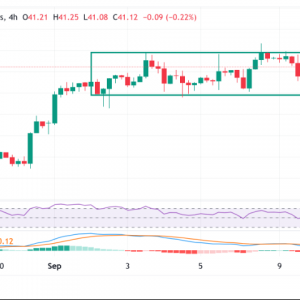 白银价格预测：白银在41.00美元上方盘整，多头等待突破交易区间 ...