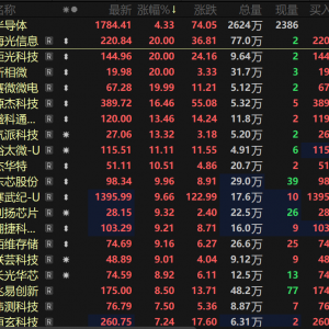 利好突袭刺激半导体板块大幅拉涨 海光信息20CM涨停 人工智能热度暴涨【热股】 ...
