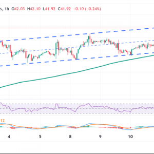 白银价格预测：银价自2011年9月以来首次触及42.00美元
