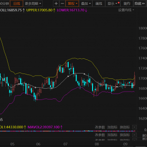 沪铅刷近两个月新高！宏观偏暖&amp;原生铅再生铅检修增多 铅锭供应或收紧【SMM快讯】 ...