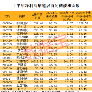 储能重磅利好！高增长潜力概念股出炉，杠杆资金大手笔抢筹11股 ...