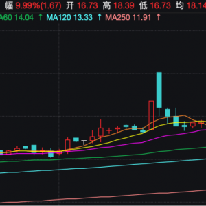 2连板牛股：股票异常波动期间，存在减持回购账户股票情形！ ...