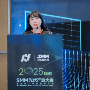 电力市场新规则下——光伏电价市场化调整&amp;机遇【SMM光伏大会】 ...