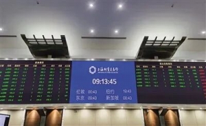 活力中国调研行｜“上海价格”国际影响力攀升