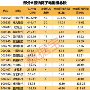 全球首款，新国标认证！300750，曝出大利好！