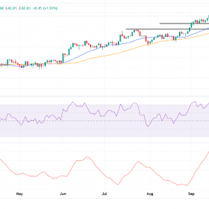 白银价格预测：多头继续掌控市场，银价处于多年高点