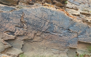 河源石能言  文明迹可见（推进文化自信自强）