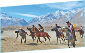 马背上的运动，超燃（聚焦传统体育）