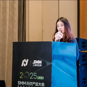 SMM解析东南亚光伏市场：跨越贸易壁垒与电网瓶颈的破局之道【SMM光伏大会】 ...