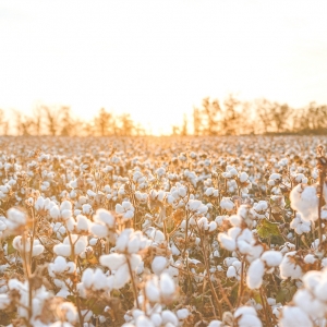 稳健医疗ESG治理深化 绿色创新与责任担当共筑“百年稳健”