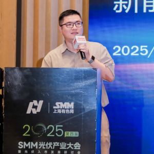 新能源入市背景下的政策支持解读路径【SMM光伏大会】