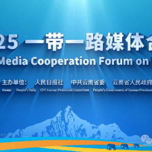 省委书记王宁：主动服务和融入高质量共建“一带一路”，云南开放之路越走越宽 ...