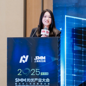 SMM：2025-2026年光伏电池与组件行业现状与挑战【SMM光伏大会】 ...