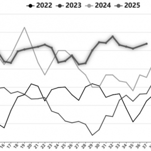 烧碱供应压力增加
