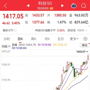 阿里AI芯片概念，曝光！