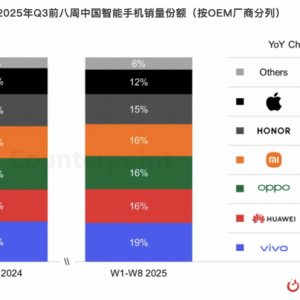数据机构：vivo重回中国手机市场销冠 荣耀销量大幅下滑