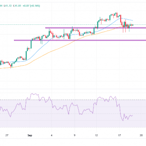 白银价格预测：白银稳定在41.50美元上方