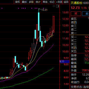 刚刚！605255，连续13个一字涨停！