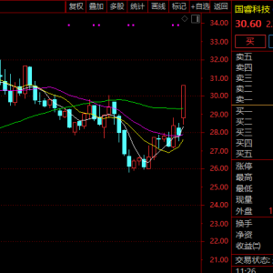 600562！10分钟，直线涨停！A股这一赛道，集体爆发！这家港股公司股价重挫60% ...
