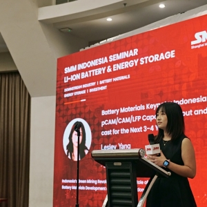 SMM：全球锂电池市场预测 三元电池和磷酸铁锂电池在印尼发展前景展望 ...