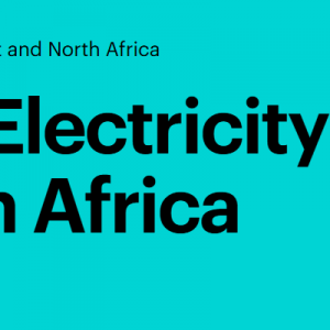 IEA：中东地区未来十年新增300GW装机 光伏为增量主力军