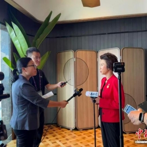 新加坡官员：明年将邀请更多AI等新兴领域的企业参加东博会