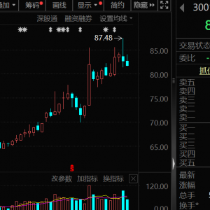 超百家外资盯上，300124，机器人概念龙头，股价创新高！
