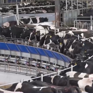 12月1日起施行！婴幼儿配方液态乳新规来了