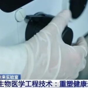 耳朵、骨骼、心脏、喉管……这些类器官能3D打印了！