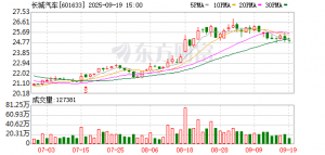 长城魏建军：在敦煌“寻根”，提炼造车 “万里精神”