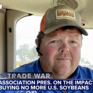 中国未下任何订单！豆农急了 美国大豆协会主席向特朗普发出紧急呼吁 ...