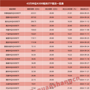 4400亿！中证A500指数基金一周年：总规模增近50%，近80家基金公司下场 ...