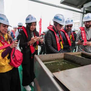 藻水共治“书写生态答卷” 中国智慧守护“高原明珠”