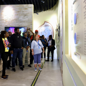 在临沧，会偶遇天降“小零食”