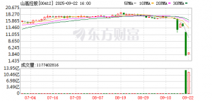 山高控股：经营基本面稳健，战略价值不可替代