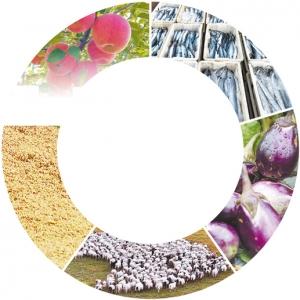 丰收中国  斑斓画卷