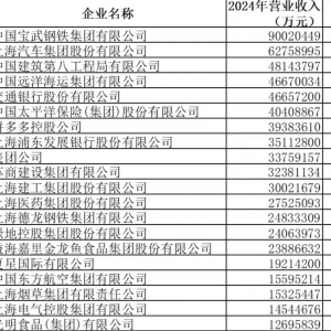 上海百强企业榜单发布：民营百强营收首破3万亿元 拼多多美团冲进前十 ...