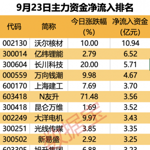 主力资金丨尾盘主力资金重点抢筹股出炉