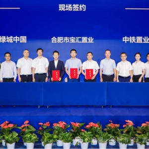 烂尾8年，合肥宝能城等来“白衣骑士”，“安徽第一高楼”能否建成仍存悬念 ...