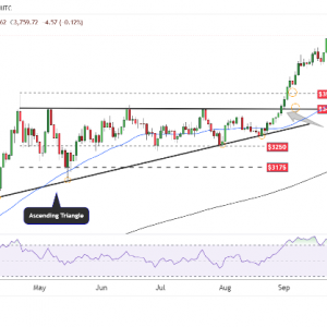 受美联储进一步降息预测和地缘政治紧张局势影响，黄金和白银飙升 ...