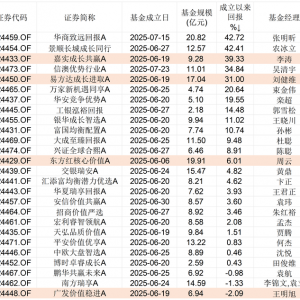 三个月首尾业绩相差超40%，首批浮动费率基金陆续开放申赎，将常规化发行 ...
