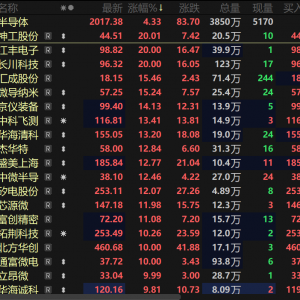 政策暖风&amp; AI持续发力  半导体板块迎来爆发 存储芯片行业“涨声四起”【热股】 ...