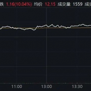 午后！券商股集体异动拉升！600095，直冲涨停！